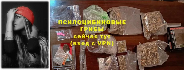 сатива Алексеевка
