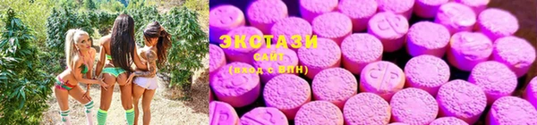 сатива Алексеевка