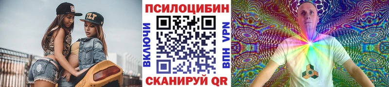 Галлюциногенные грибы Psilocybine cubensis  Темников 