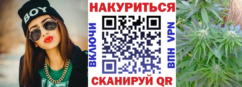 Канабис SATIVA & INDICA  как найти наркотики  omg ONION  Темников 
